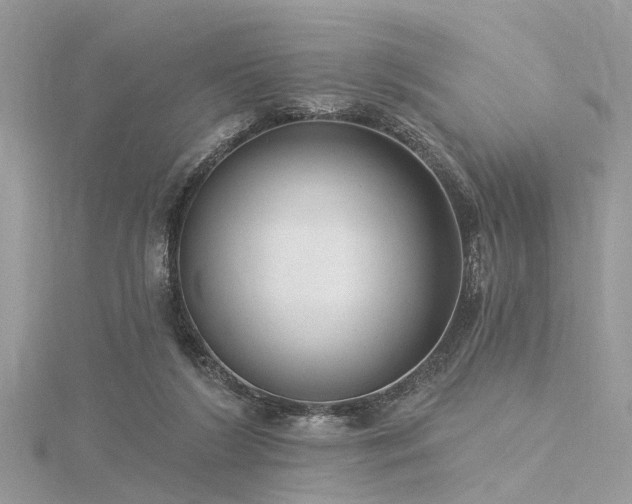 X0000116300212200911301448