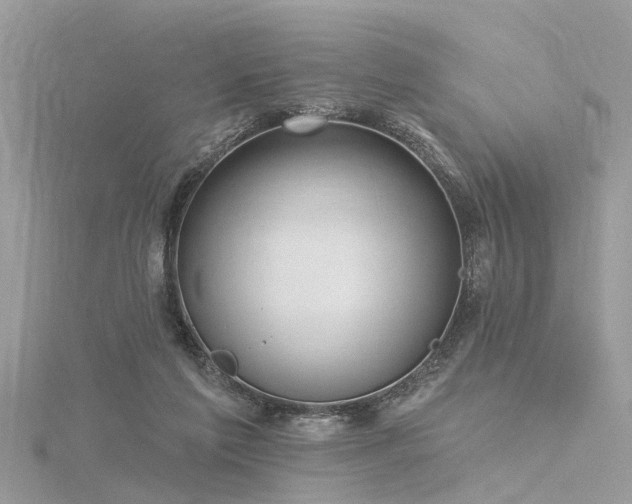 X0000116300213200911301448