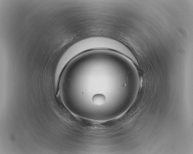 X0000116300215200911301448