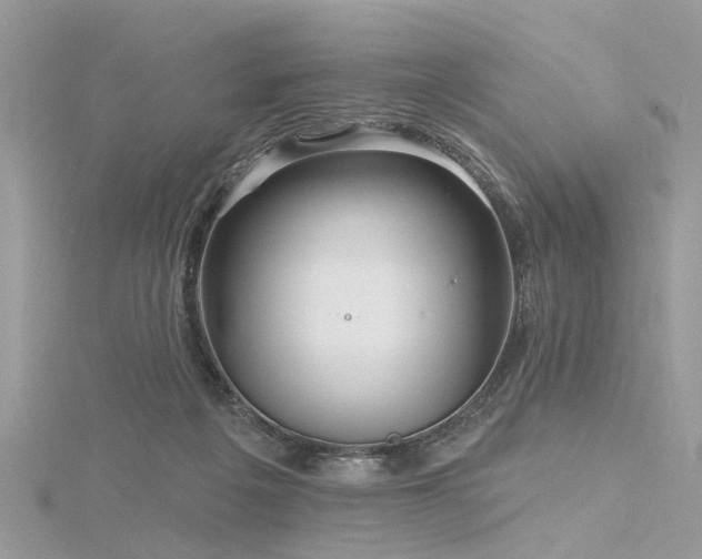 X0000116300217200911301448