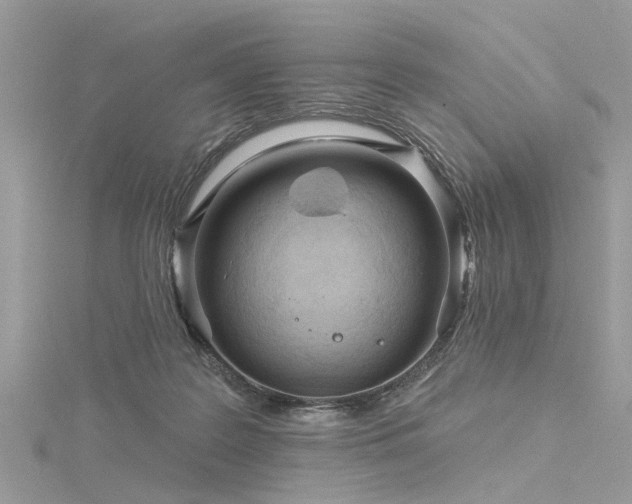 X0000116300219200911301448