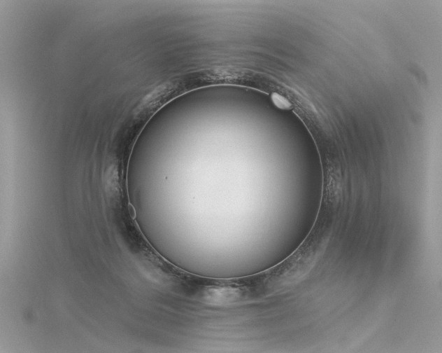 X0000116300220200911301448