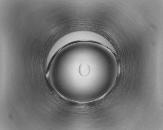 X0000116300221200911301448