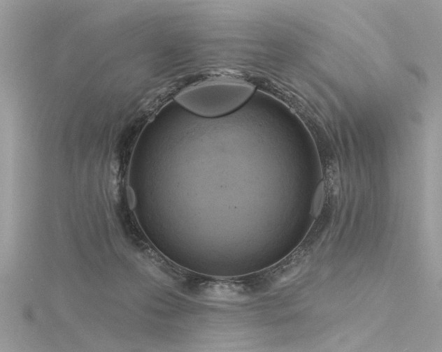 X0000116300223200911301448