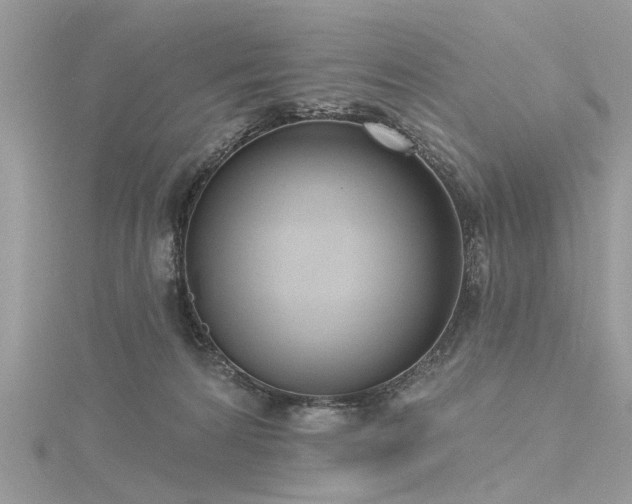 X0000116300224200911301448