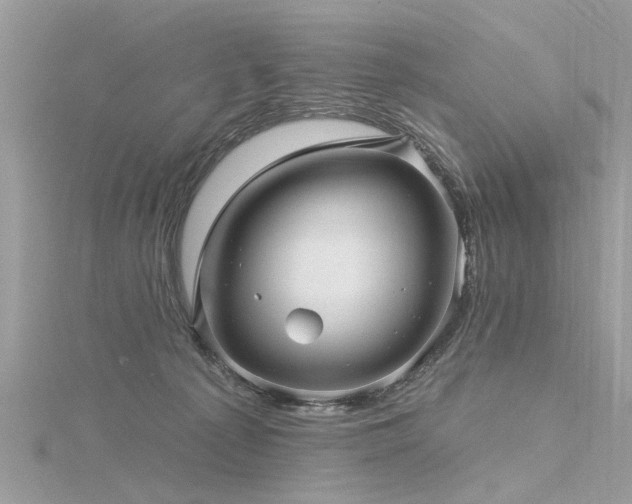 X0000116300225200911301448