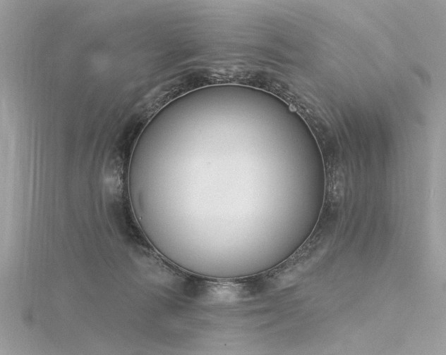 X0000116300226200911301448