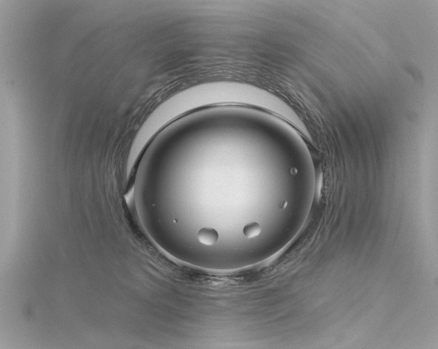 X0000116300229200911301448