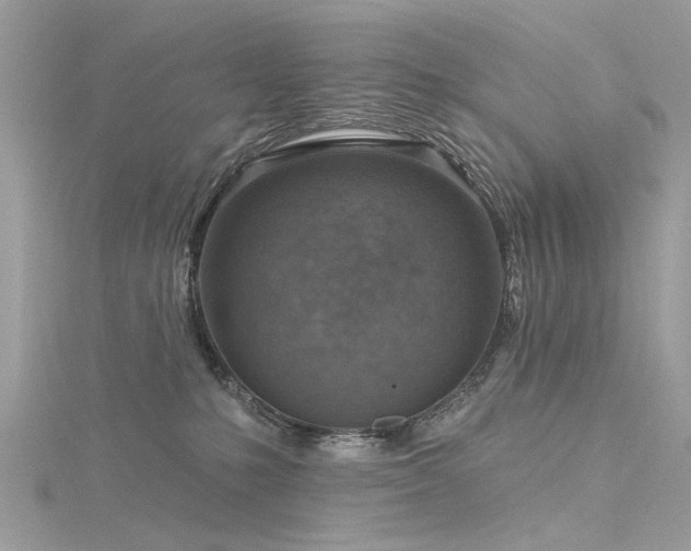 X0000116300231200911301448