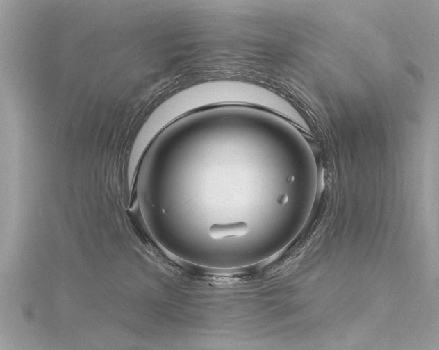 X0000116300233200911301448