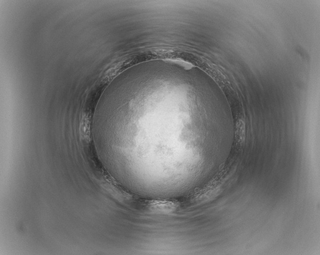 X0000116300234200911301448