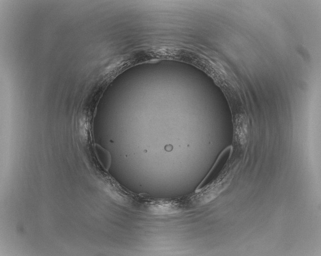 X0000116300235200911301448