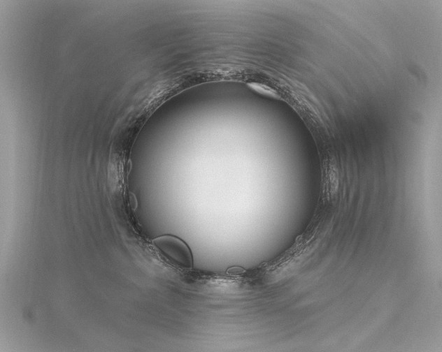 X0000116300236200911301448