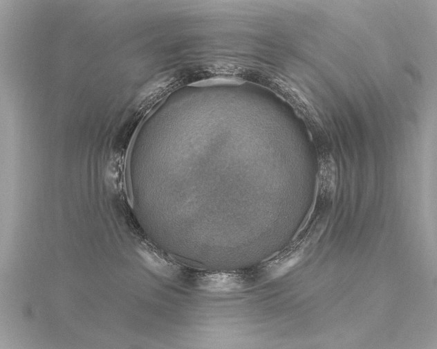 X0000116300237200911301448