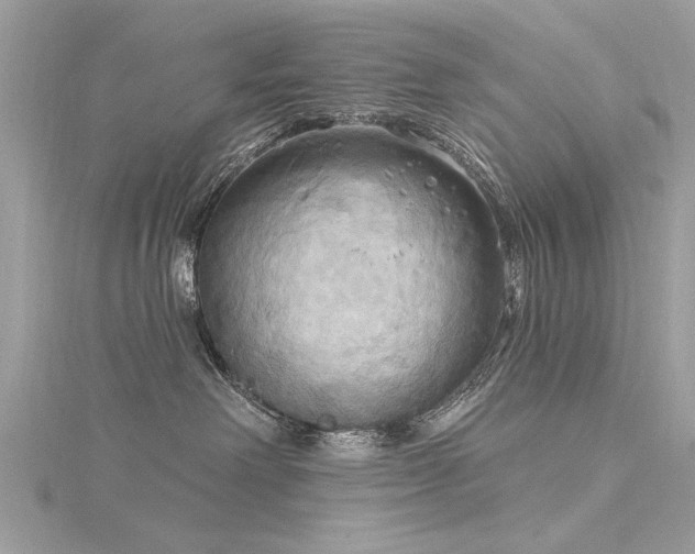 X0000116300238200911301448