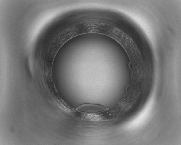 X0000116300239200911301448