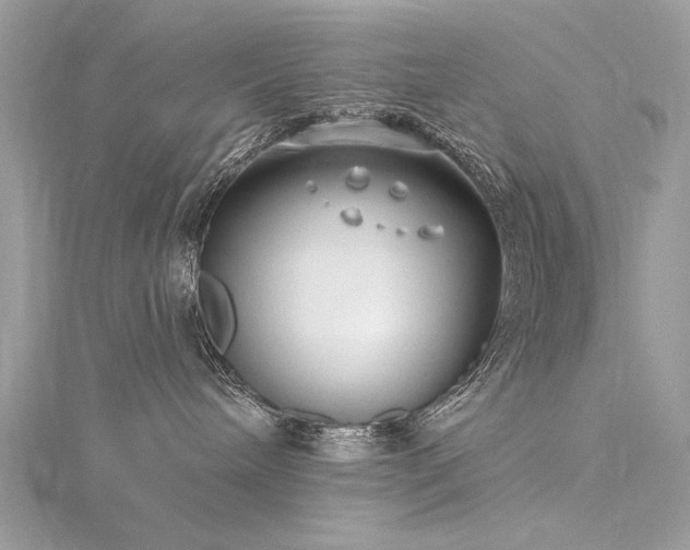 X0000116300240200911301448