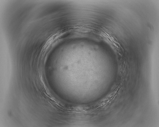 X0000116300241200911301447