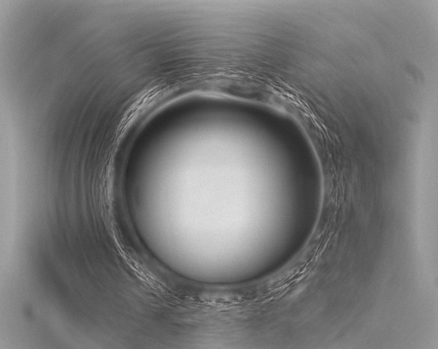 X0000116300242200911301447