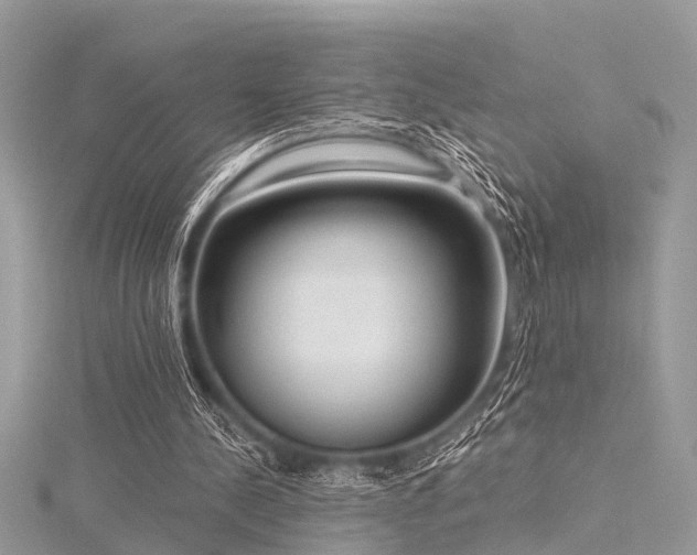 X0000116300244200911301447