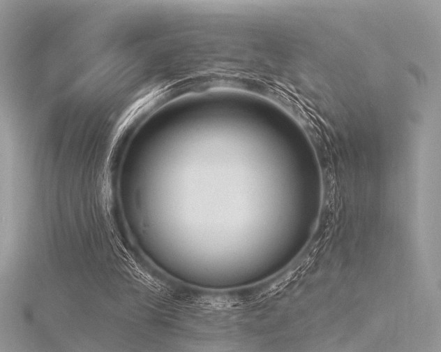 X0000116300245200911301447