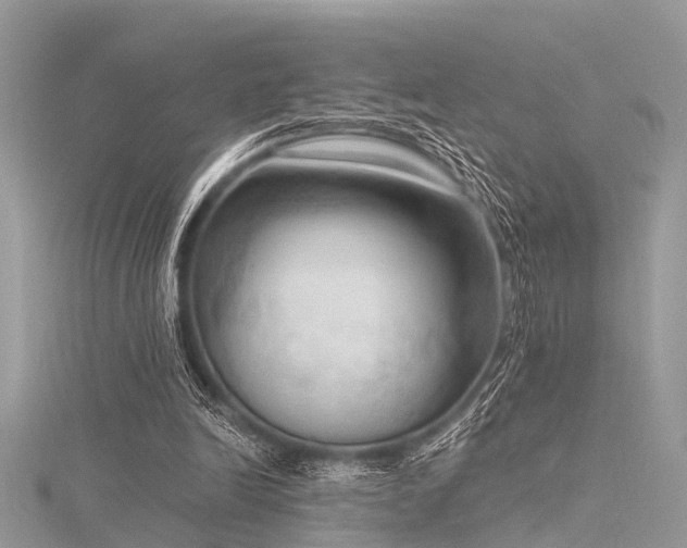 X0000116300246200911301447