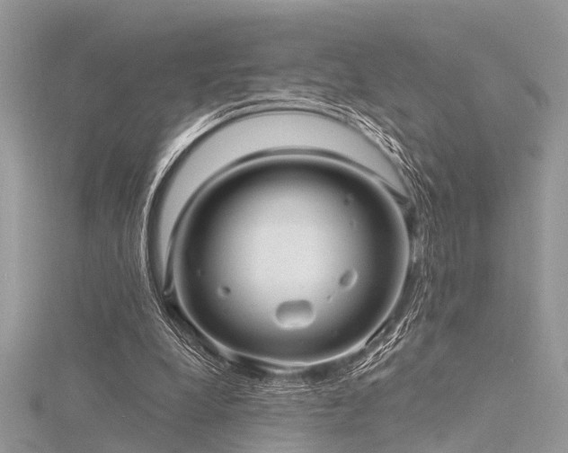 X0000116300248200911301448