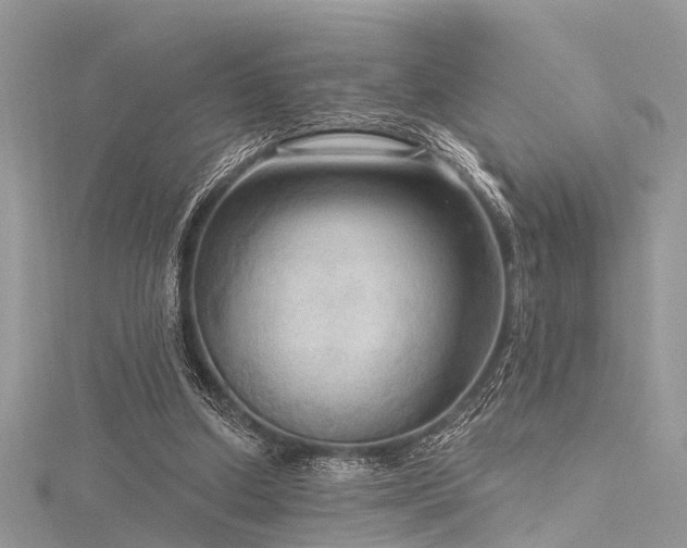 X0000116300250200911301448