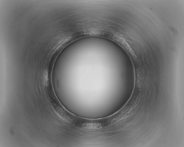 X0000116300251200911301448