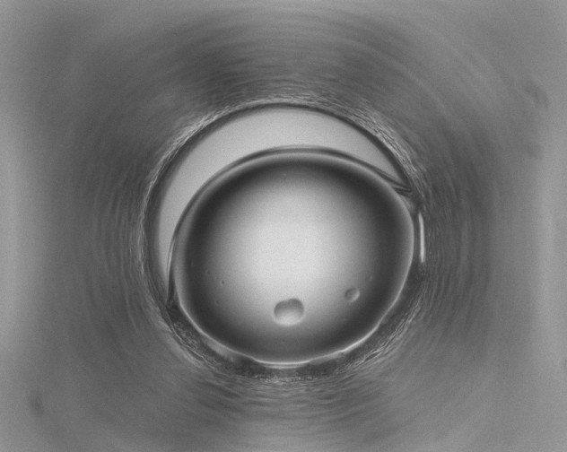 X0000116300252200911301448