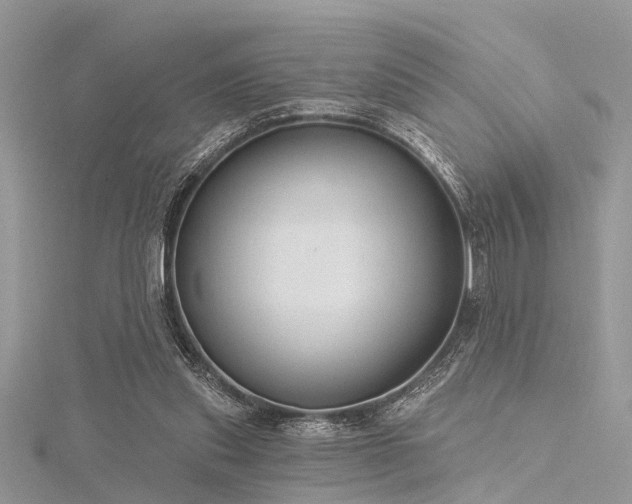 X0000116300253200911301448