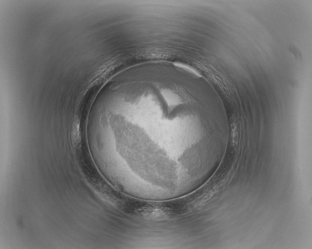 X0000116300254200911301448