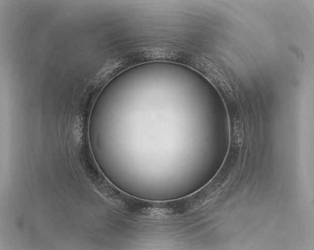 X0000116300255200911301448