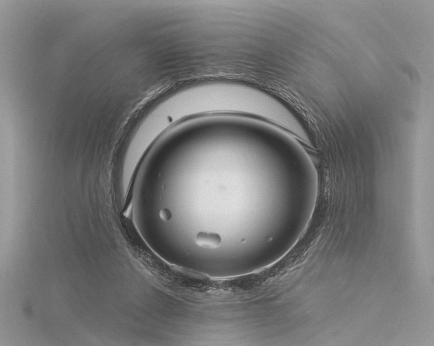 X0000116300256200911301448