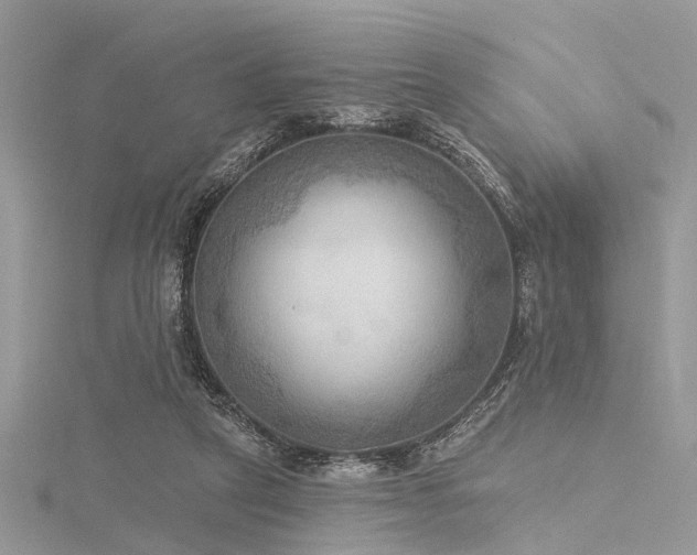 X0000116300257200911301448