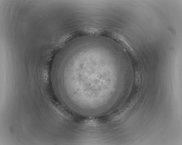 X0000116300259200911301448