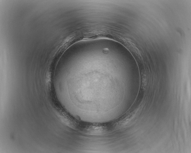 X0000116300260200911301448