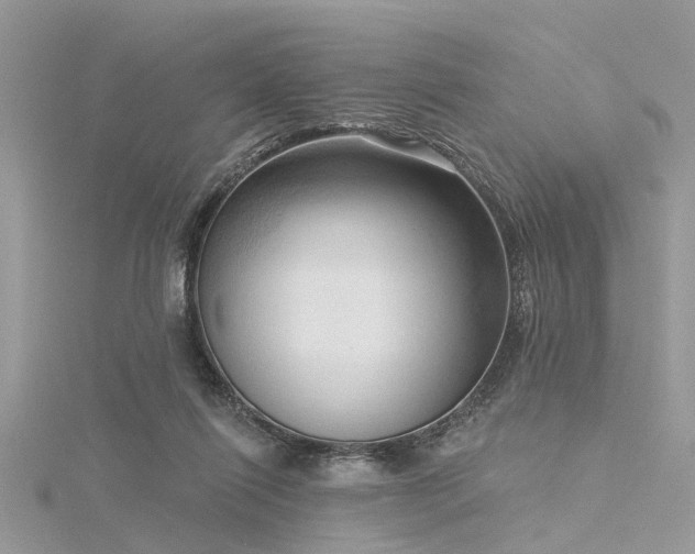 X0000116300262200911301448