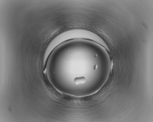 X0000116300264200911301448