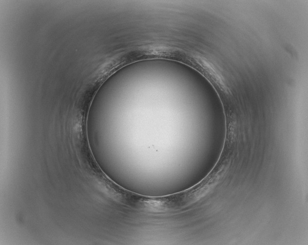 X0000116300265200911301448