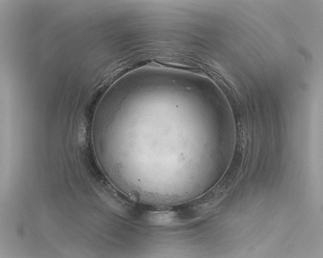 X0000116300266200911301448