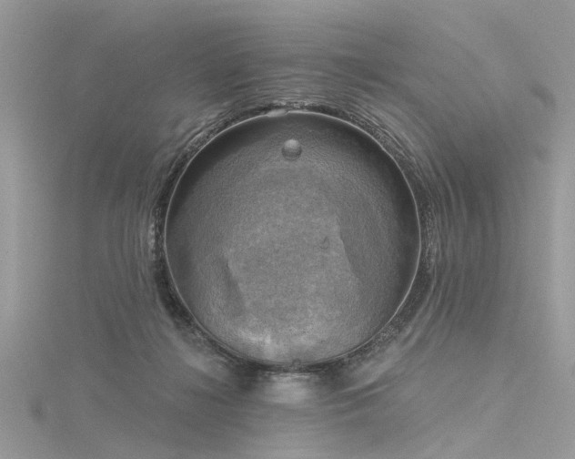 X0000116300268200911301448