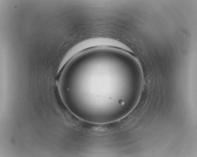 X0000116300272200911301448