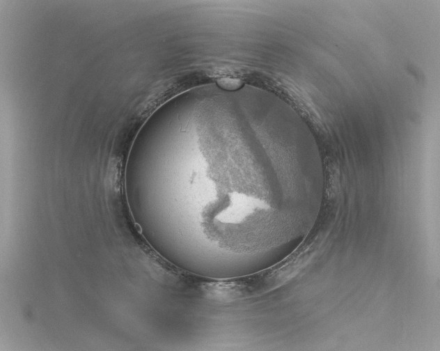 X0000116300273200911301448