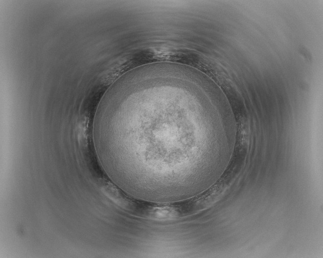 X0000116300275200911301448