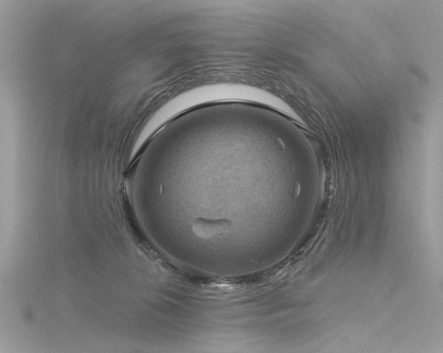 X0000116300276200911301448