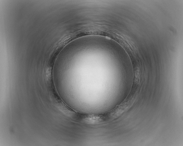 X0000116300278200911301448