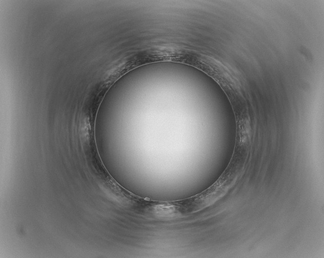 X0000116300279200911301448