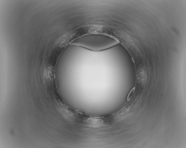 X0000116300280200911301448