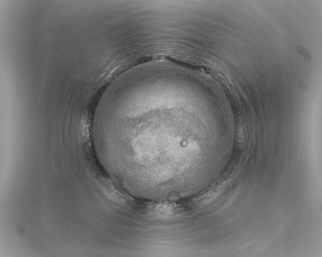 X0000116300282200911301448